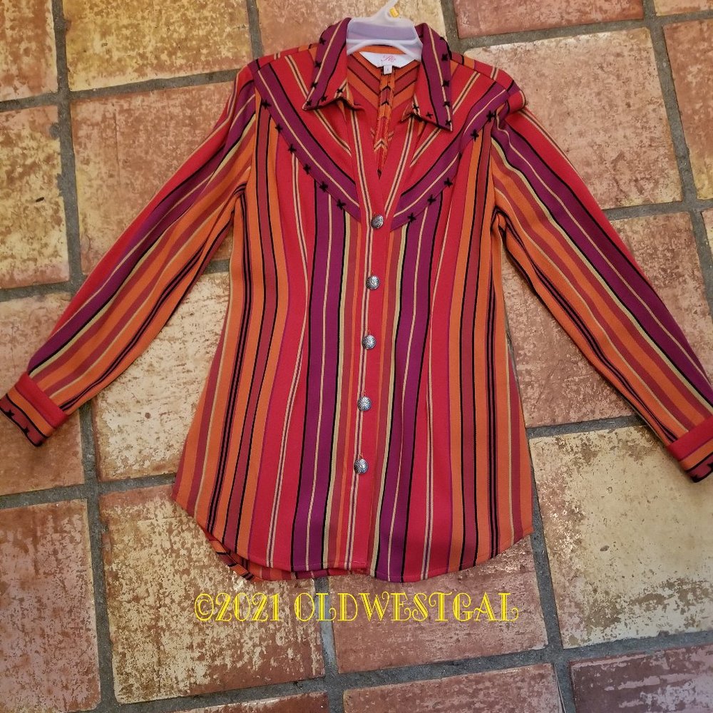 NWOT Roja Vista Saltillo Serape Southwestern Tunic